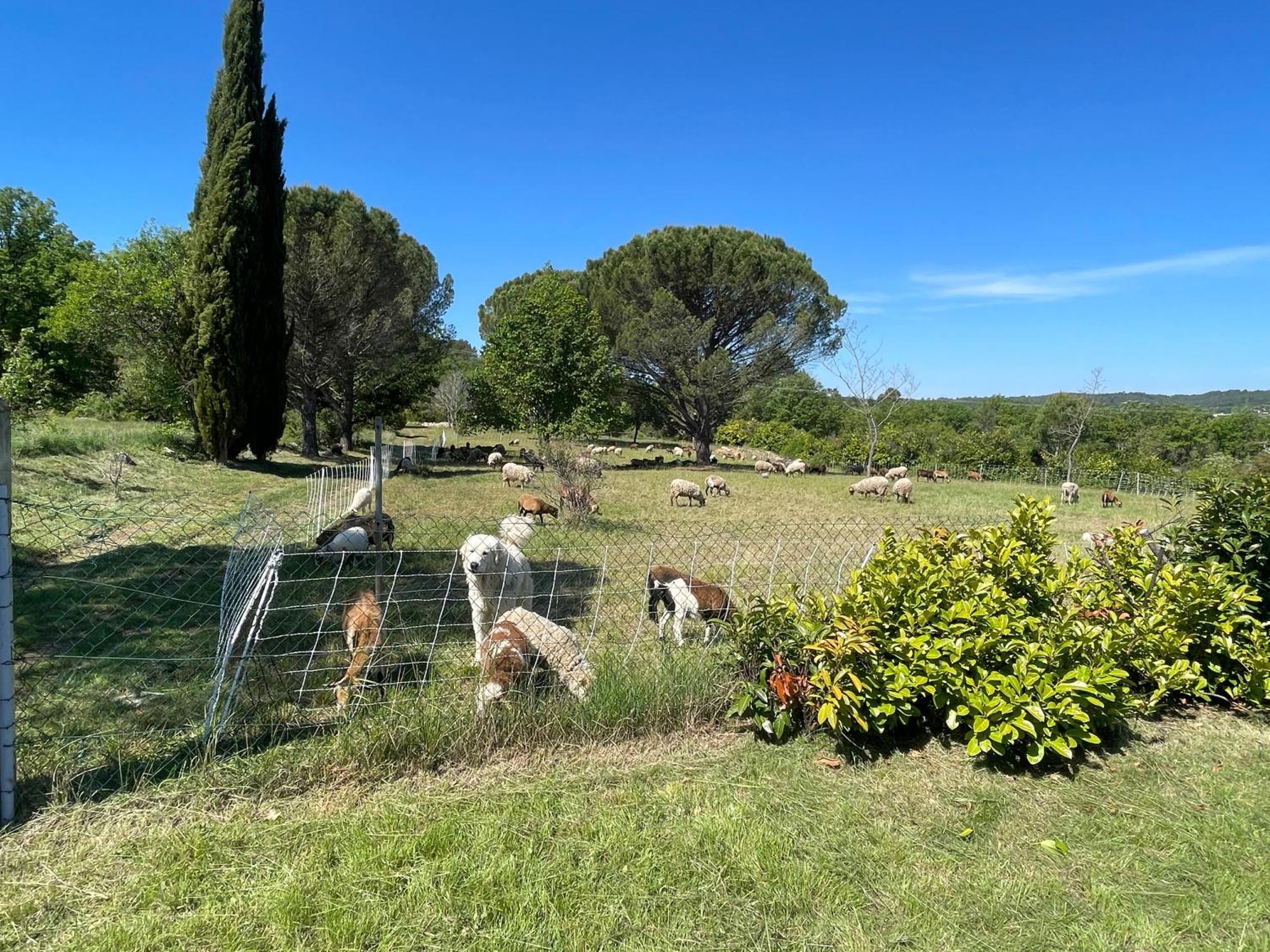 Villa Raphael Régusse 外观 照片
